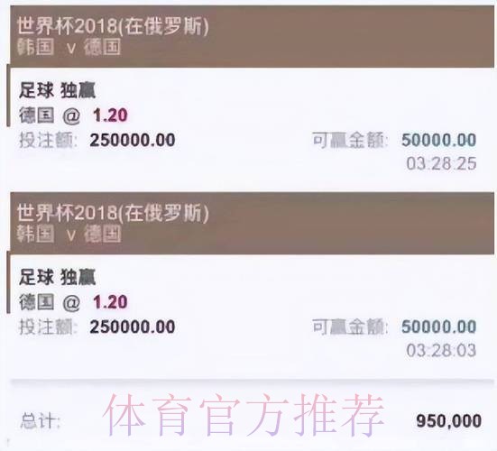 世界杯投注平台精选：球迷必读投注攻略